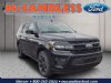New 2024 Ford Expedition - Mercer - PA