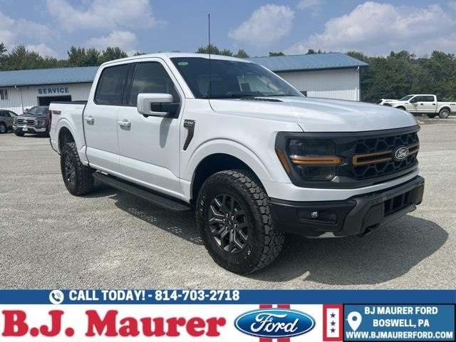 An image of 2025 Ford F-150